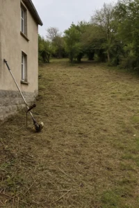 Débroussaillage terminé autour d’une maison à Nancy